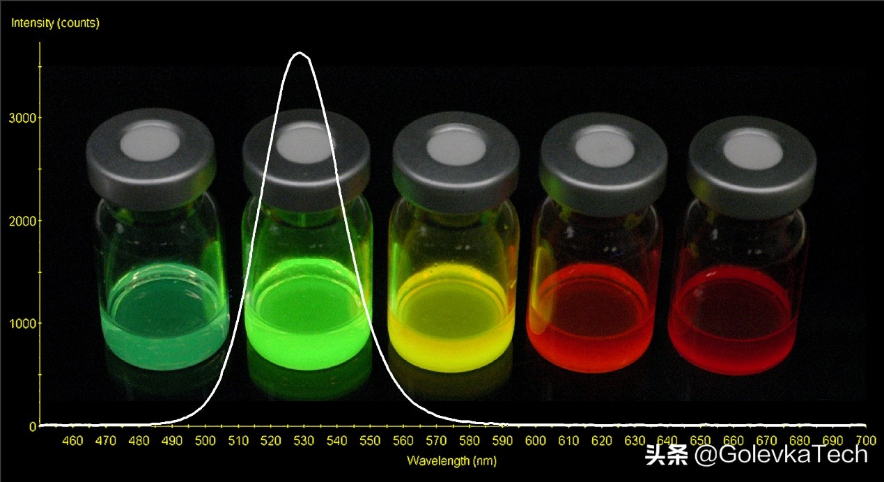 为什么植物的叶是绿色的,为什么植物是绿色不是其他颜色呢