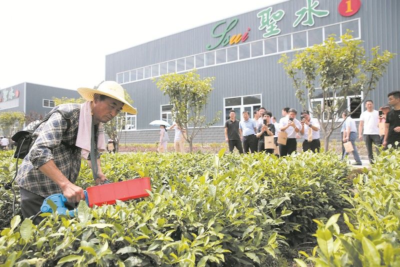 十堰市第二季度项目拉练成绩单,茅箭区第二季度拉练