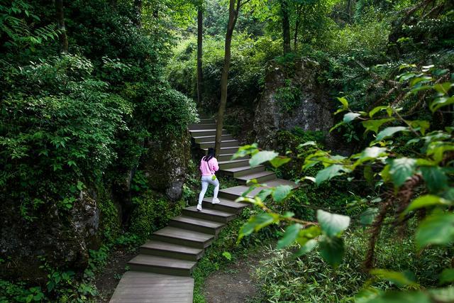 小平故里到华蓥山花海人家要多远,广安华蓥山小平故里