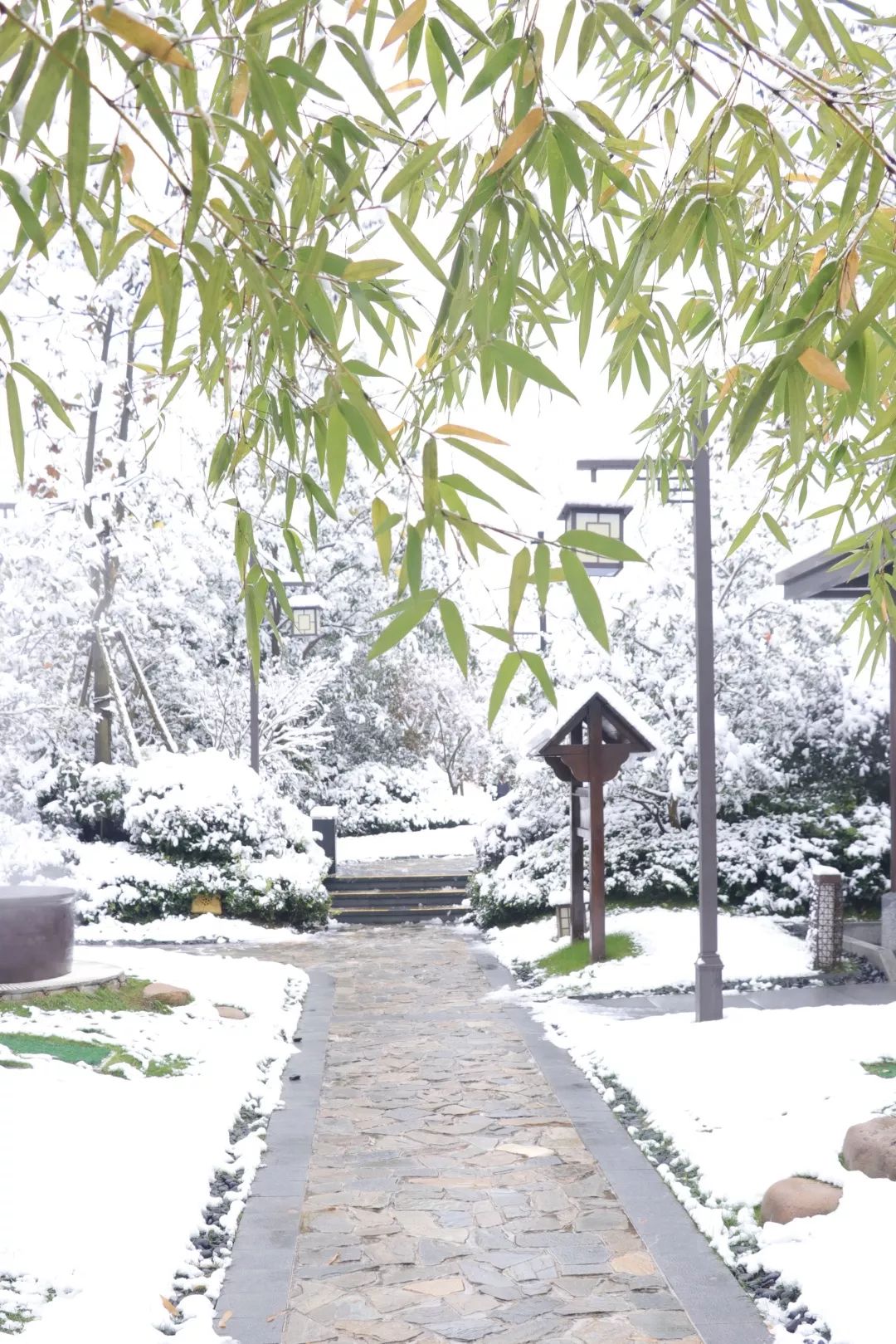 杭州温泉网红打卡地,杭州十大顶级温泉