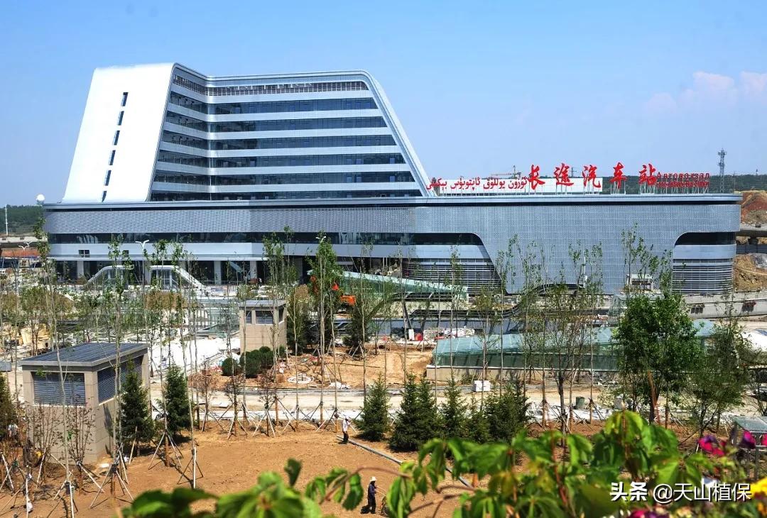 上榜啦！*疆新**鸟市和石市即将被国家命名！未来发展不可估量