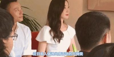 万绮雯有多爱甄子丹,万绮雯年轻时的盛世容颜甄子丹