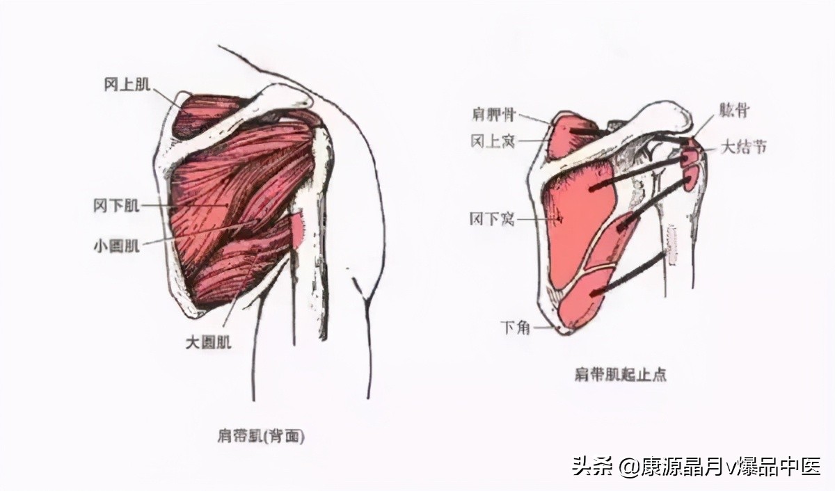 冻结肩一招解决,冻结肩怎么调