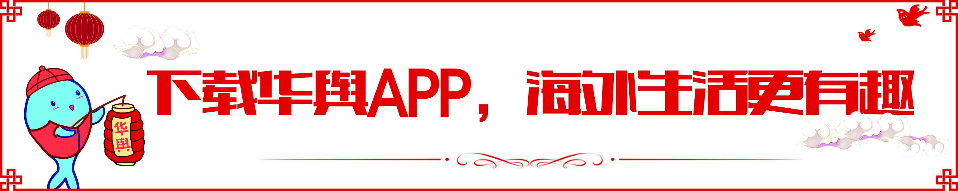 每个人的名字都是一段故事,每个人的名字都有一段来历