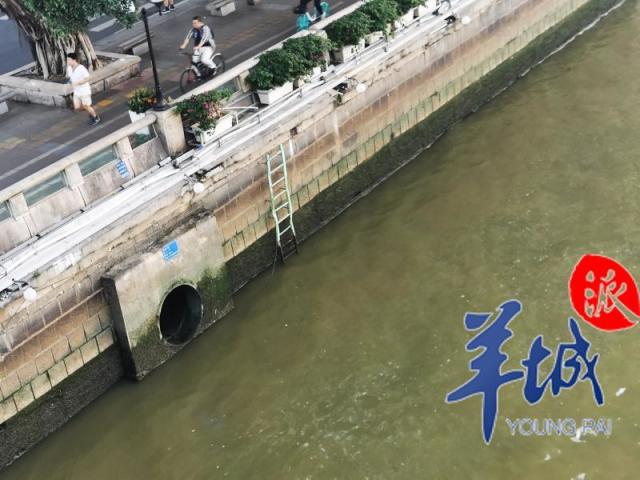 沙漠干旱广东,1943年广东大旱