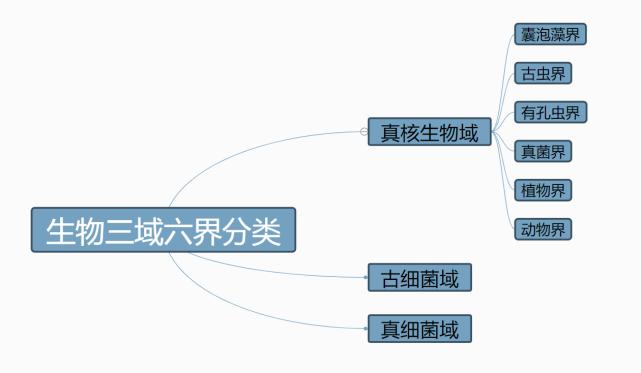 舌尖上的进化史:21亿年前的吃货细菌,最终演化成人类