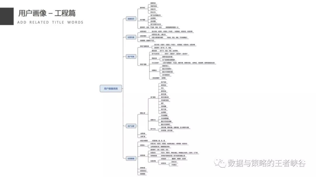 用户画像深度解析,用户画像什么意思