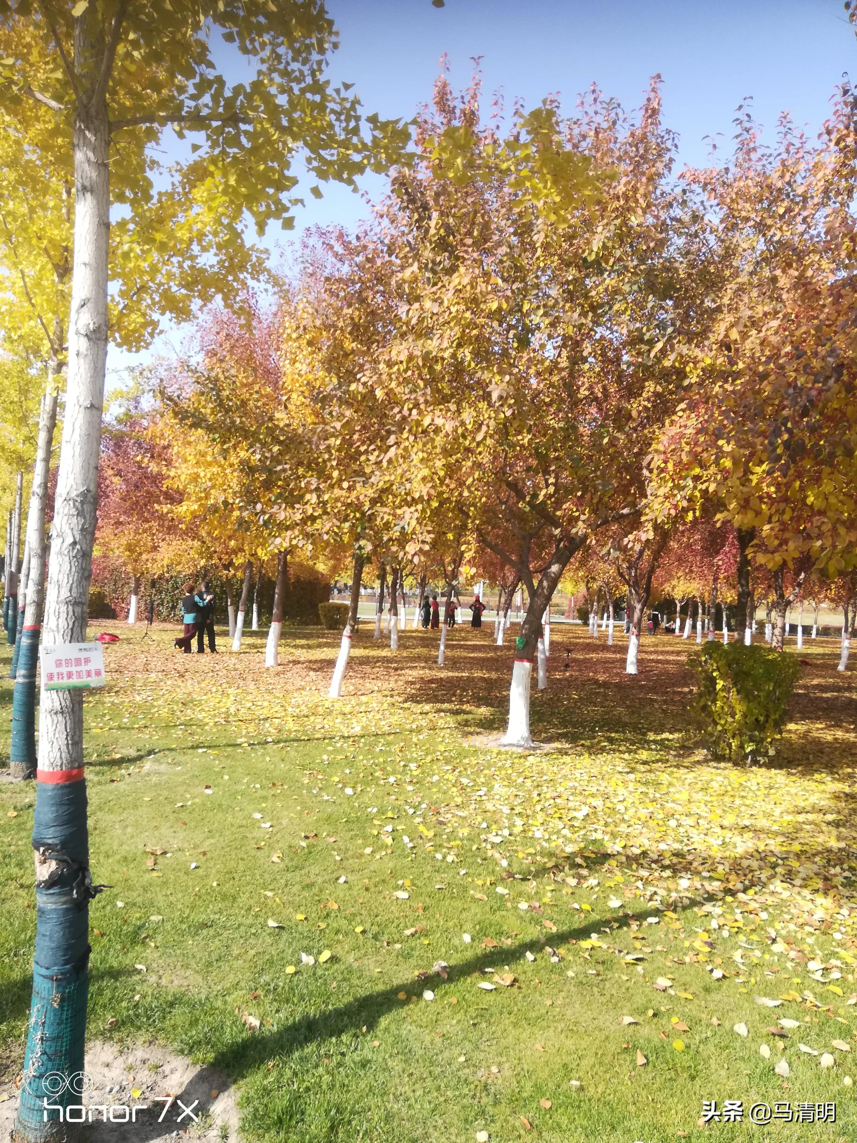 我眼中的石河子,我眼中的新疆石河子