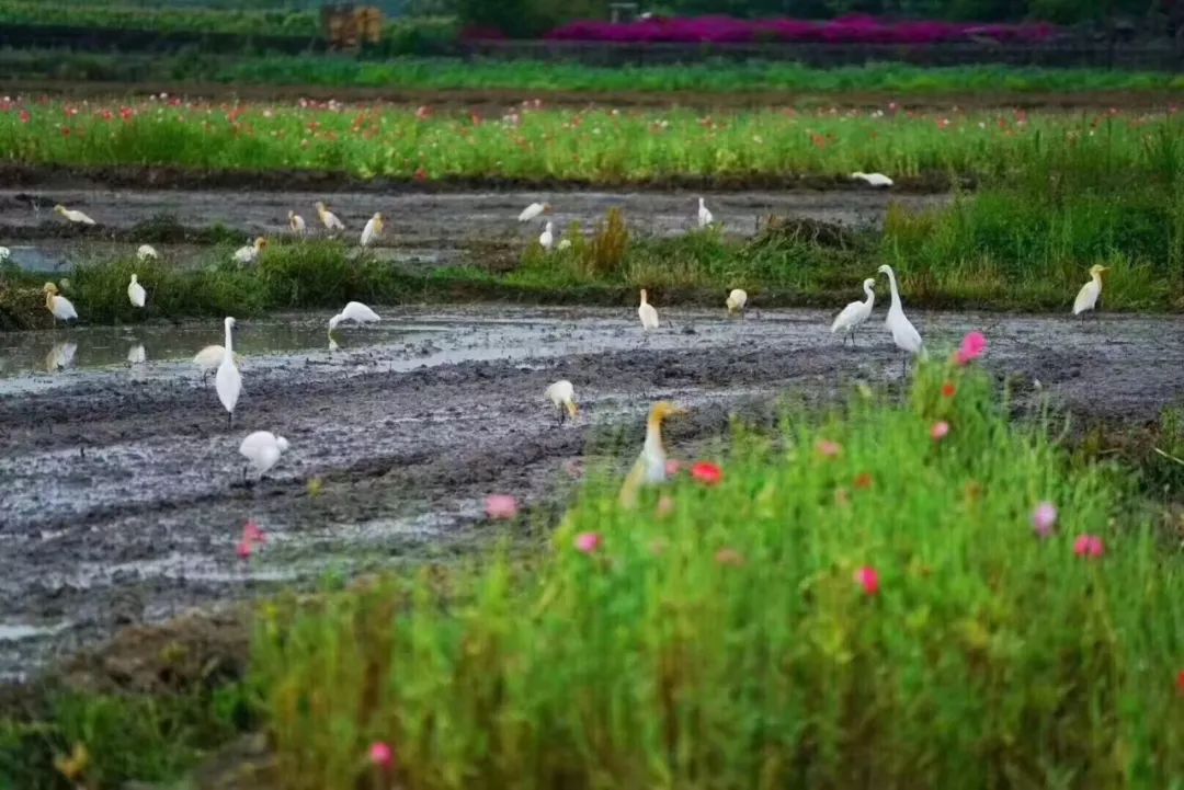 中国最好的柏联酒店,国内最好的柏联酒店