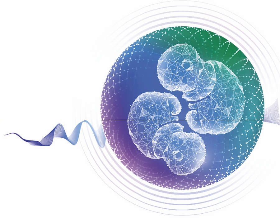 怀上双胞胎如何避免各种风险,怀上龙凤胎会不会危险
