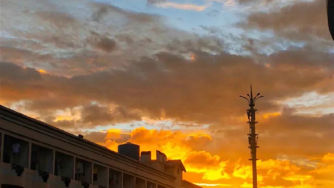 玉溪师范学院凤凰路134号乐队,玉溪师范学院的故事