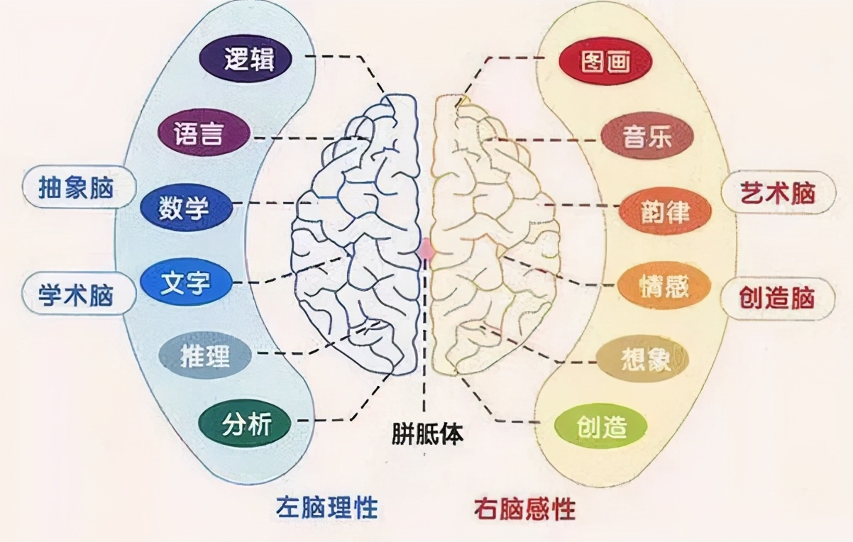 孩子左手画画要纠正吗,五岁孩子用左手画画需要纠正吗