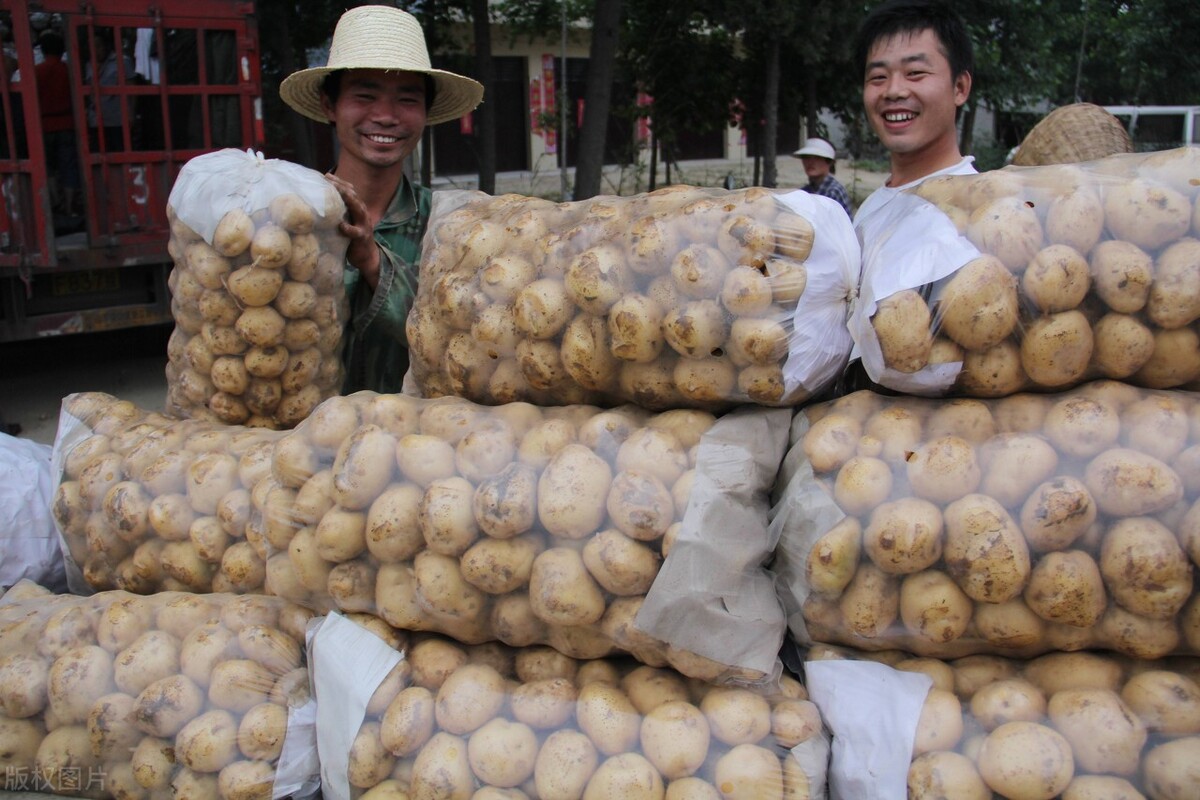 怎么储存土豆过冬,土豆水洗能储存吗