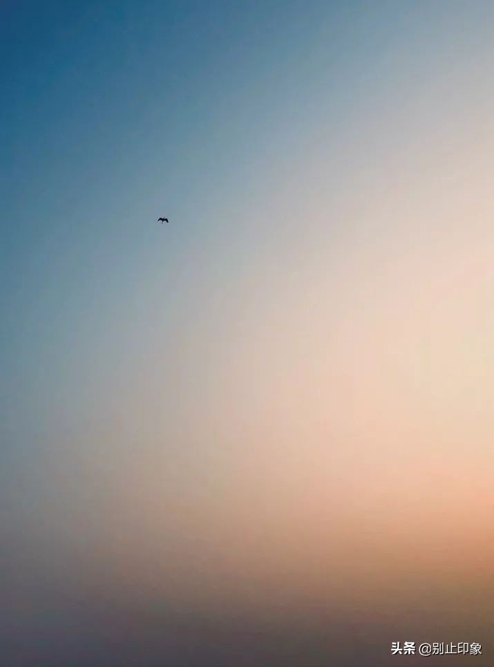 手机摄影构图大全公众号,手机摄影构图取景技巧