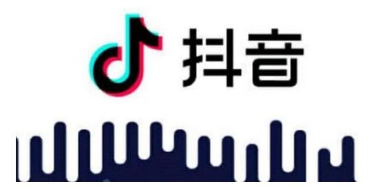 抖音东南亚跨境电商平台,海外抖音电商新平台是什么