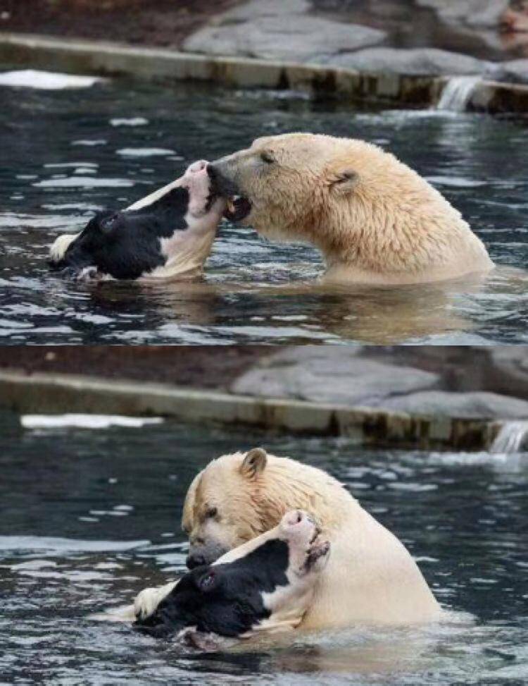 激动时只会喊“卧槽”?词穷是病,3个方法帮你治好