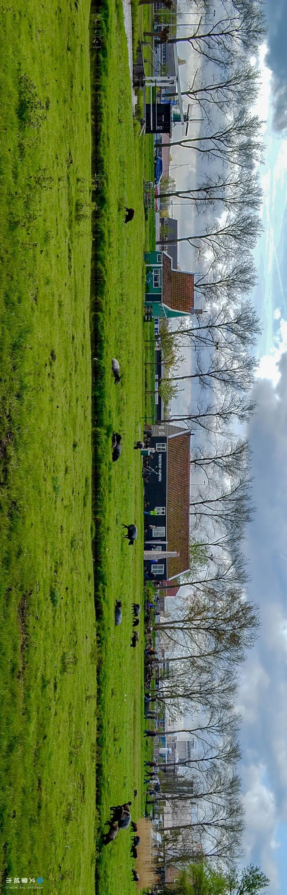 5.16国际牛奶日,每天一杯牛奶强壮中国人