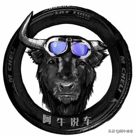 国产哈雷摩瑞,摩瑞650哈雷