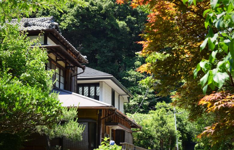 浼兼按娴佸勾椋庡崕缁濅唬鍒归偅鑺冲崕,浼兼按娴佸勾鑺姵棣ラ儊