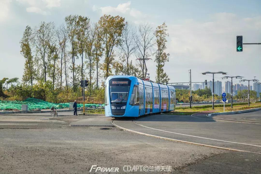 从蓉2来|天天看见“叮叮猫”跑来跑去的,它到底在忙什么啊?