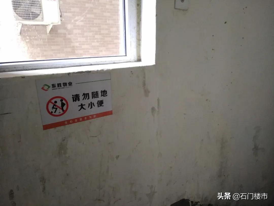 实地探访红盘交房后真实一面,解密热销红盘背后的生活理想