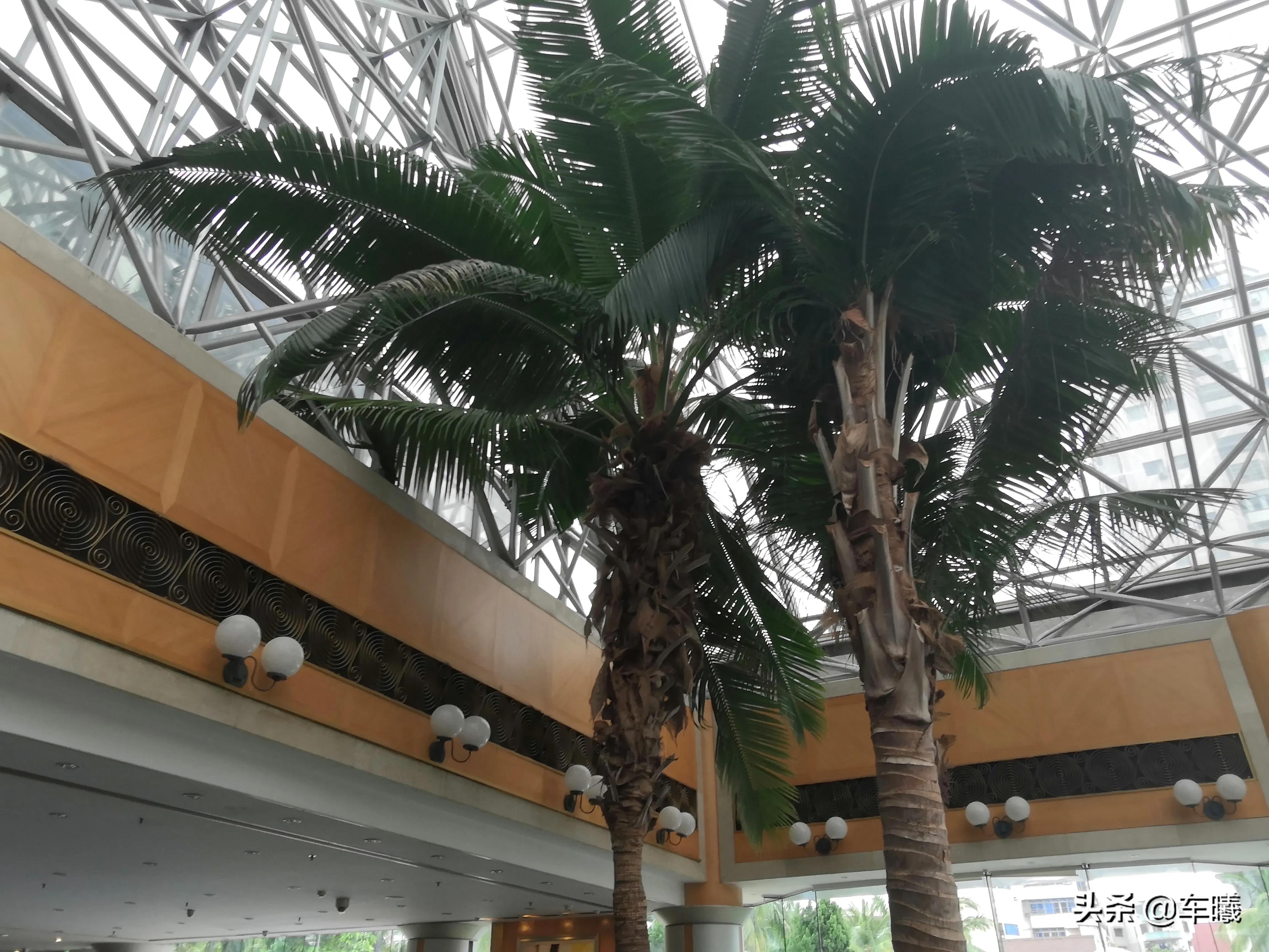 海口寰岛泰得大酒店,海口寰岛泰得大酒店参海人家