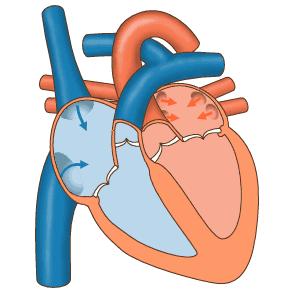 感觉心脏不好基本检查有哪些,总感觉心脏有病还检查不出来