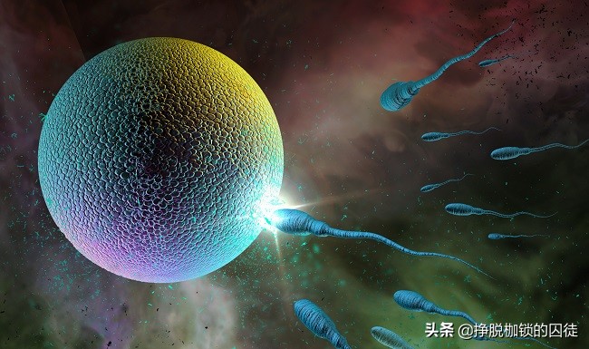 为什么怀孕要从最后一次例假开始算起？