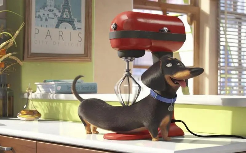 爱宠大机密这类电影推荐,welcometonewyork爱宠大机密