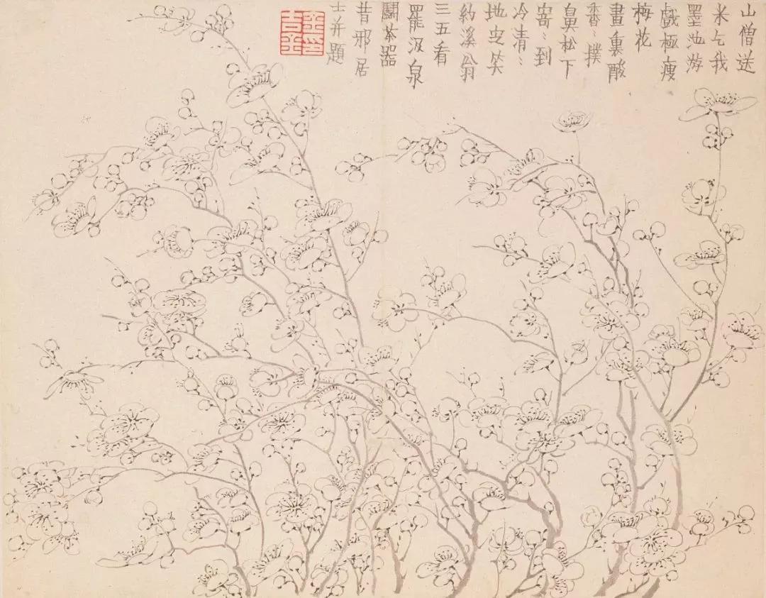 清代九大名家花鸟册页欣赏,清朝九大名家花鸟山水图