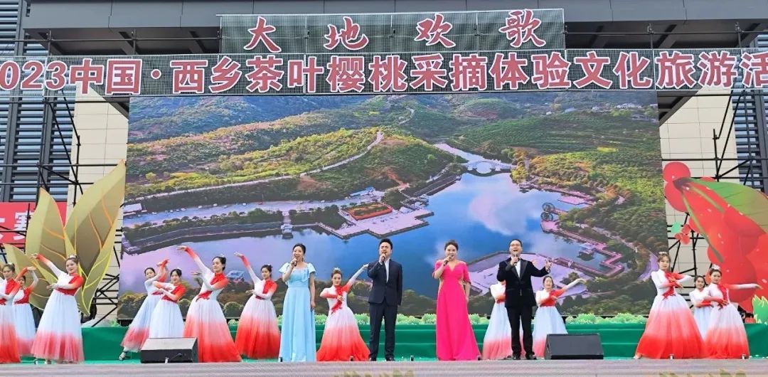 西乡县茶叶镇樱桃采摘,陕西汉中哪里可以摘樱桃