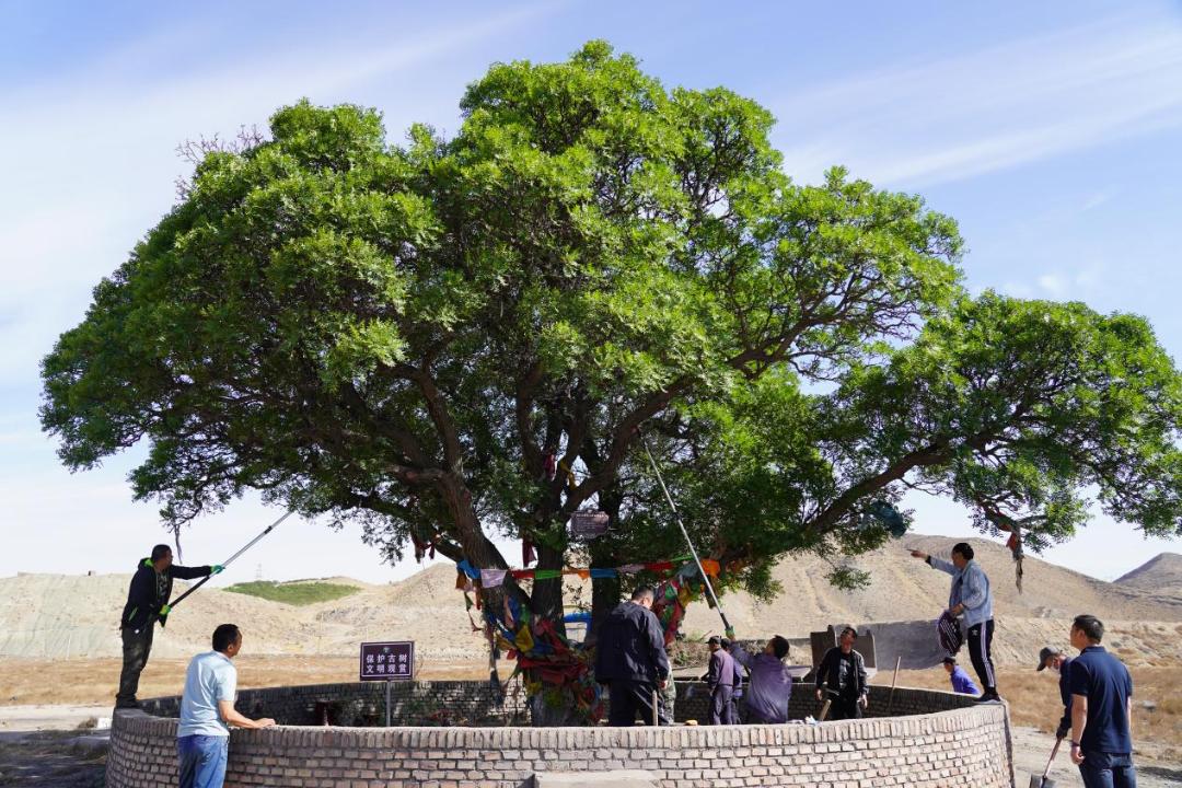 央媒网友热议,央媒密集关注点赞福建