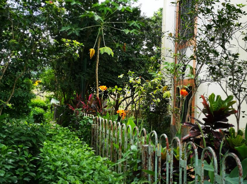 刘柏荣|豪*欲情**把春留住:花困东君酒点唇(原创诗词十首)