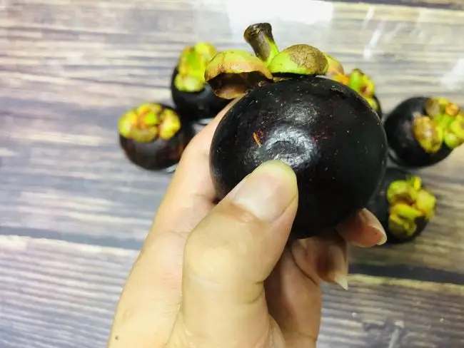 不会挑山竹记住这几点一挑一个准,挑选山竹小技巧新鲜又饱满