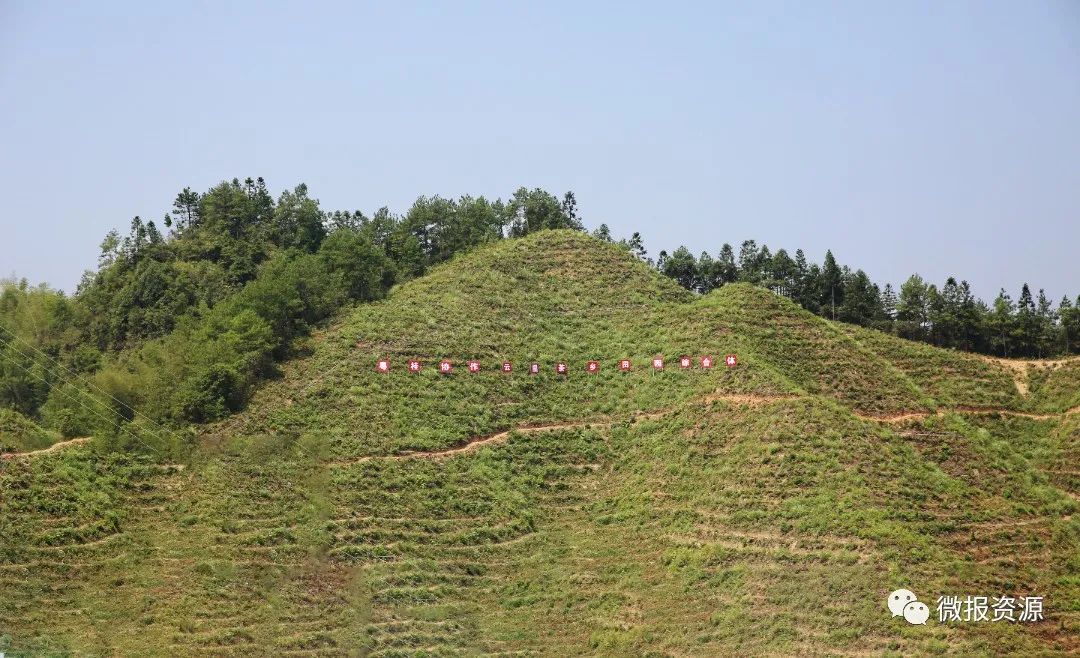 #广西资源【丹霞先锋】用忠诚巩固脱贫成果用实干助推苗乡振兴—记资源县车田苗族乡车田村驻村第一书记黄勇