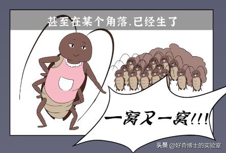 家里踩死的蟑螂，为啥一会儿就自动消失了？