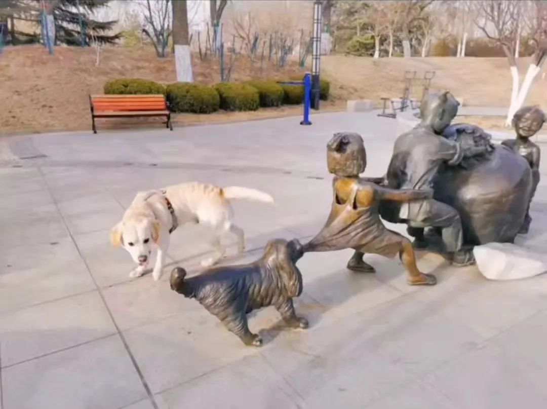 送男朋友巴黎世家哪款鞋子,巴黎世家哪款鞋送男友