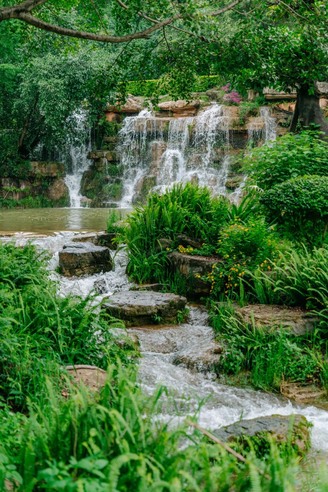 云南西部大峡谷泡温泉,云南原始森林温泉