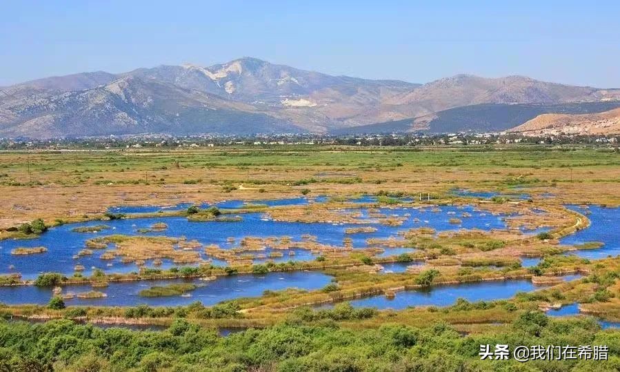希腊人平均寿命,希腊人均寿命