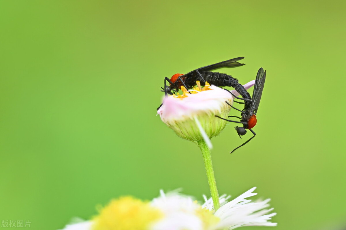常见化学物质的俗名口诀,常见物质化学名称和俗名