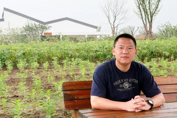 田园东方投资集团怎么样,田园东方文旅小镇