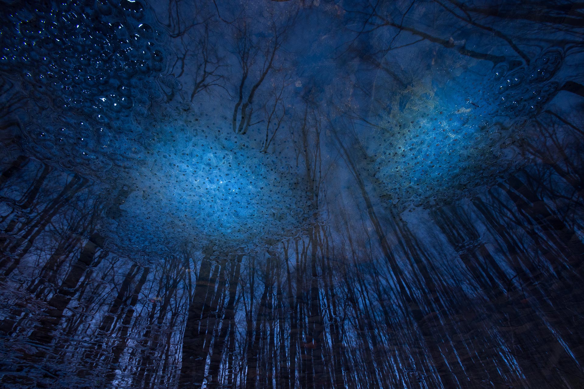 自然就是美,自然就是美歌曲