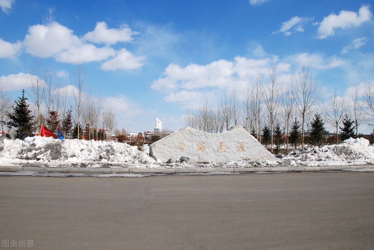 暑假体验及生活感悟,暑假生活体验感悟