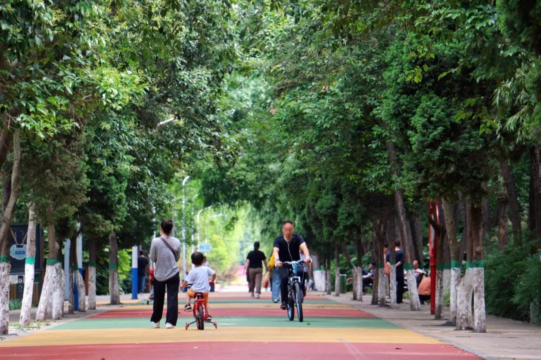 白鹭洲露营基地,白鹭湖免费露营营地