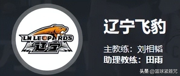 辽宁青年队u21谁是教练,辽篮u19李虎翼