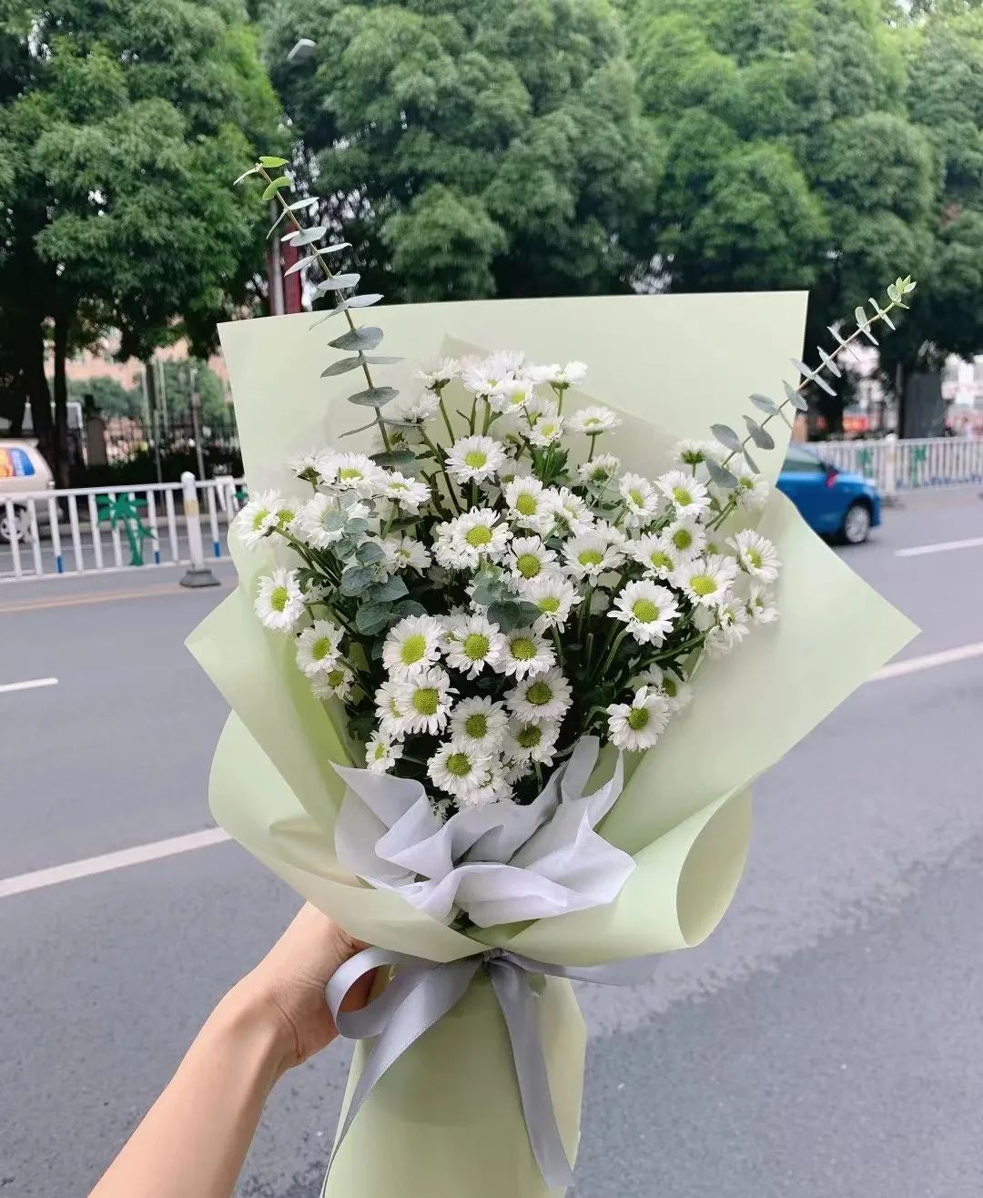 又又又被美到！10款秋日的花果叶，打包了最斑斓的秋色