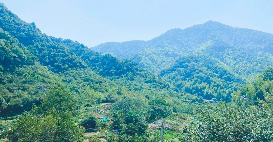 理想之旅,理想之旅片段