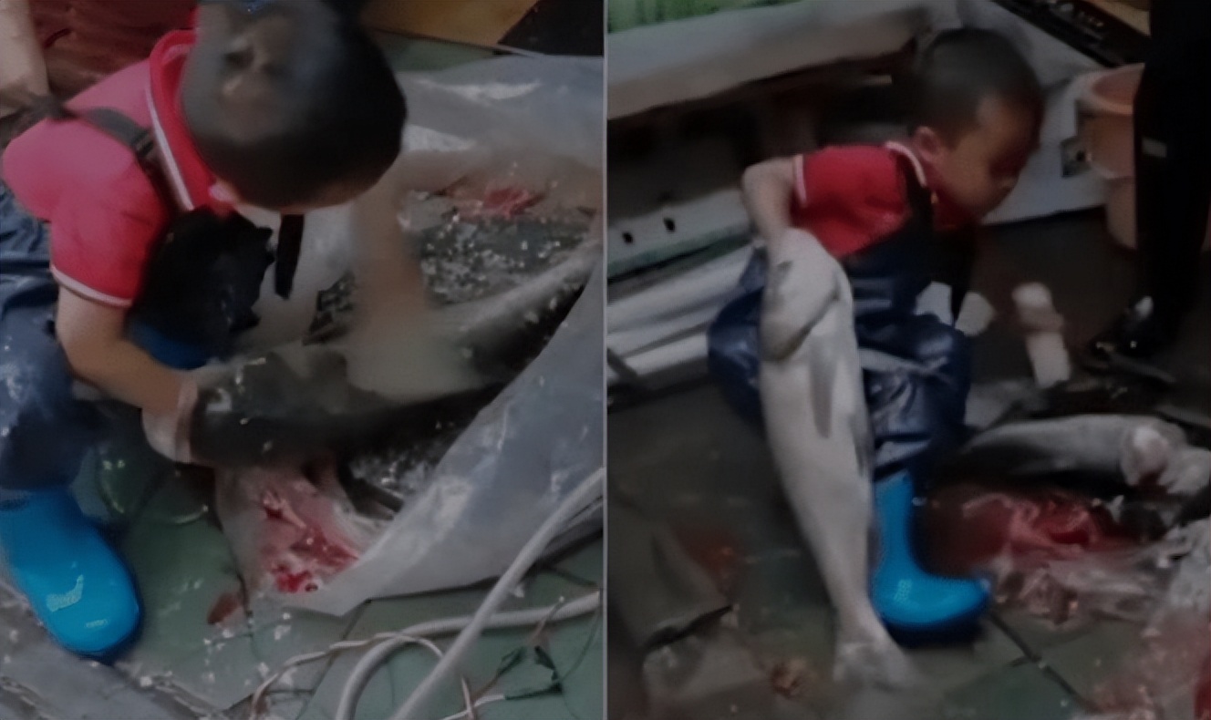 杀鱼弟孟繁森,杀鱼弟孟凡森的传奇人生