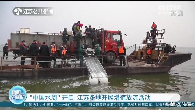 骆马湖菹草爆发原因,骆马湖采砂纪录片