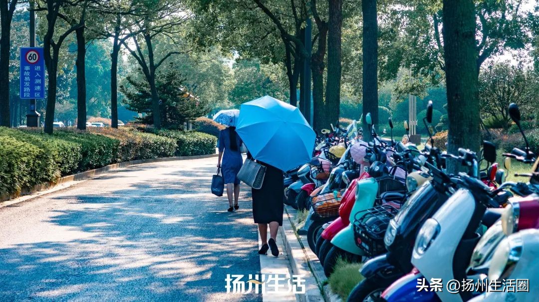 扬州夏天最热多少度,扬州苏州夏天哪个热